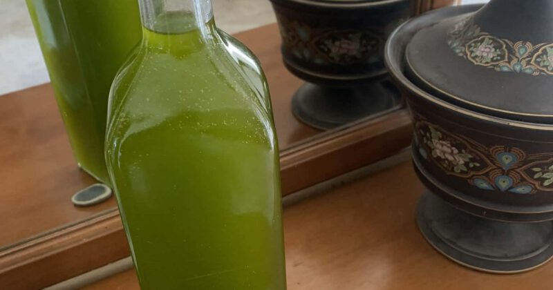 Aufruf zur Vorbestellkampagne 2025–26