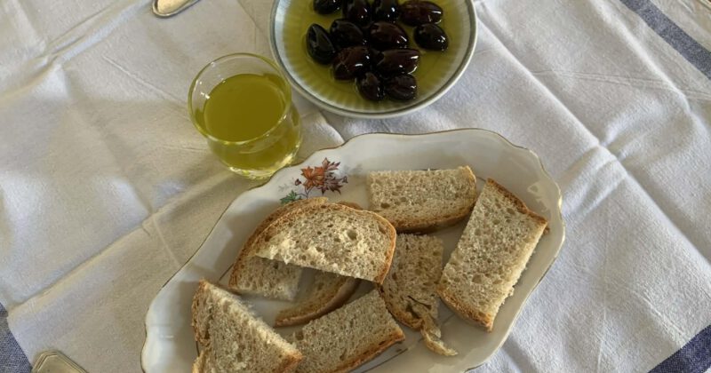 When the First Olive Oil Comes Out in November